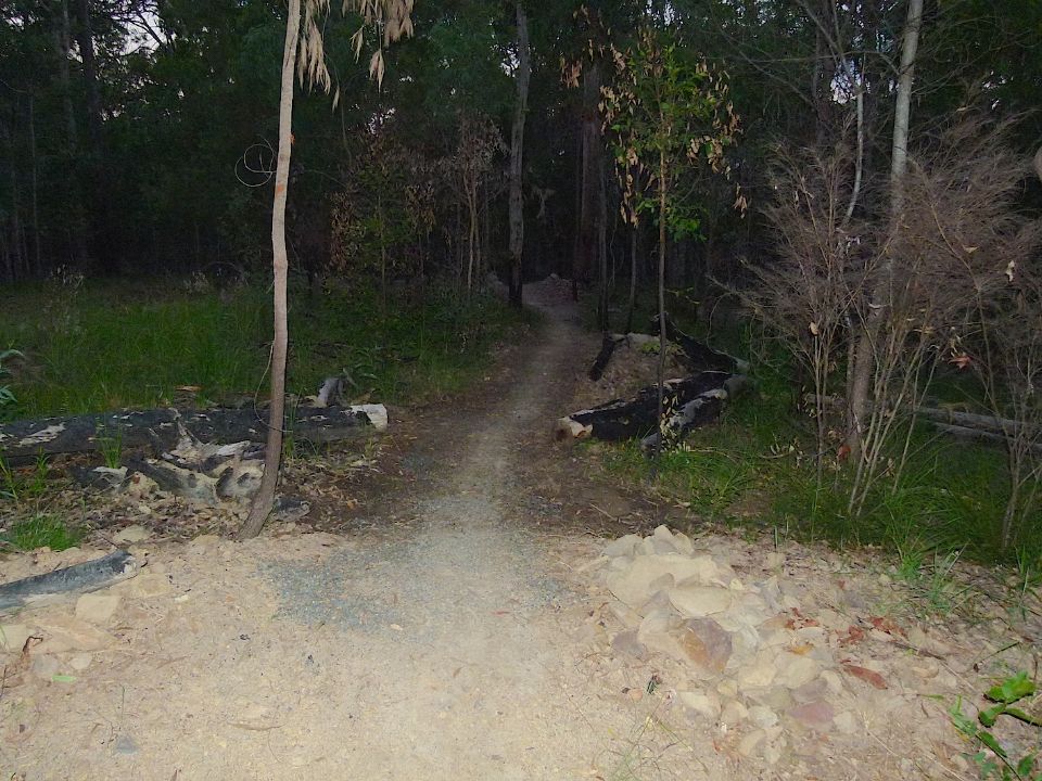 P1160366.jpg
